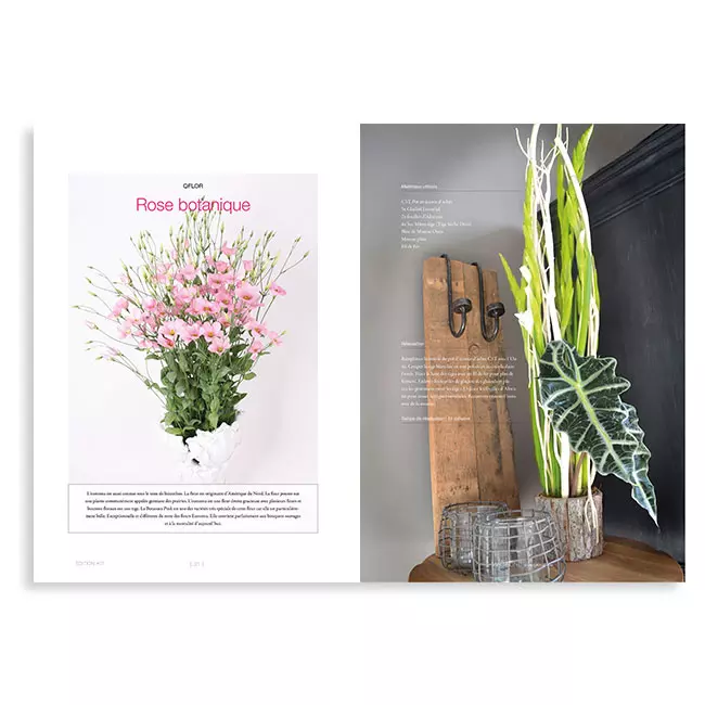 ontwerp en drukwerk magazine